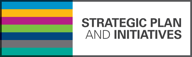 Strategic Plan and Initiatives
