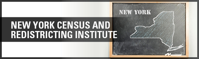 NY Census and Redistricting Institute