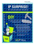 IP SURPRISE!: IP in Unconventional Industries (DIY)