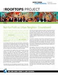 Profile - Not-for-Profit as Urban Neighbor: Groundswell by James Hagy and Scott Haggmark
